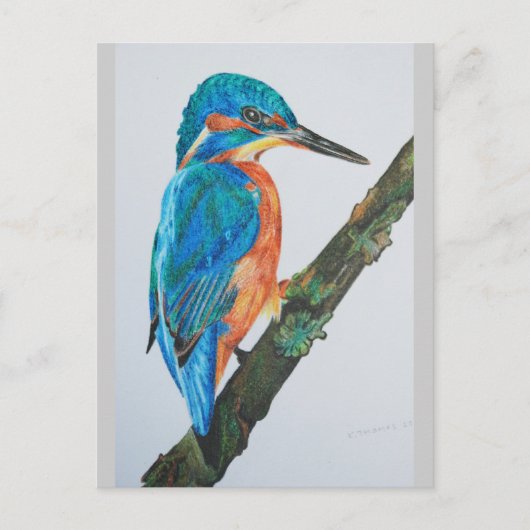 Kingfisher Merchandise Briefkaart (Voorkant)