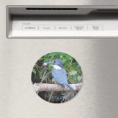 Kingfisher met Vis uit Costa Rica Magnet (Insitu (Vaatwasser))