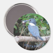 Kingfisher met Vis uit Costa Rica Magnet (Voorkant / Achterkant)