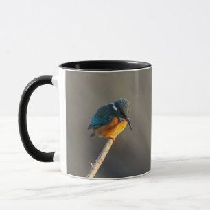 Kingfisher Mok