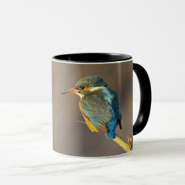 Kingfisher Mok