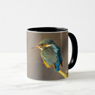 Kingfisher Mok