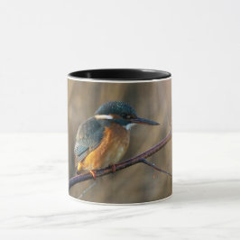 Kingfisher Mok