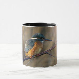 Kingfisher Mok