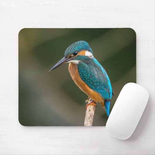 KIngfisher Muismat (Met muis)