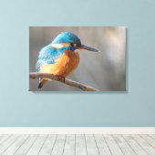 Kingfisher Natuur Foto Canvas Afdruk (Insitu (Houten vloer))