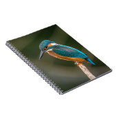 KIngfisher Notitieboek (Rechterzijde)