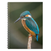 KIngfisher Notitieboek (Voorkant)