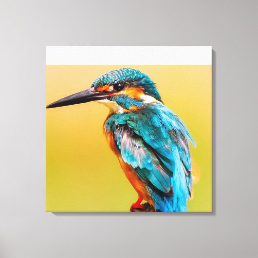 Kingfisher op Dawn Canvas Print (Voorkant)