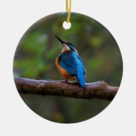 Kingfisher op een filiaal keramisch ornament
