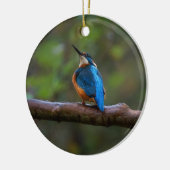 Kingfisher op een filiaal keramisch ornament (Links)