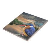 Kingfisher op Sunset Tegeltje (Zijkant)