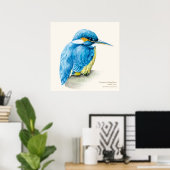 Kingfisher Ornithologisch poster (Thuiskantoor)