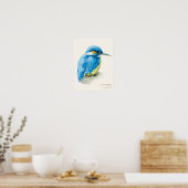 Kingfisher Ornithology portretteert fijne kunstafd Poster (Keuken)