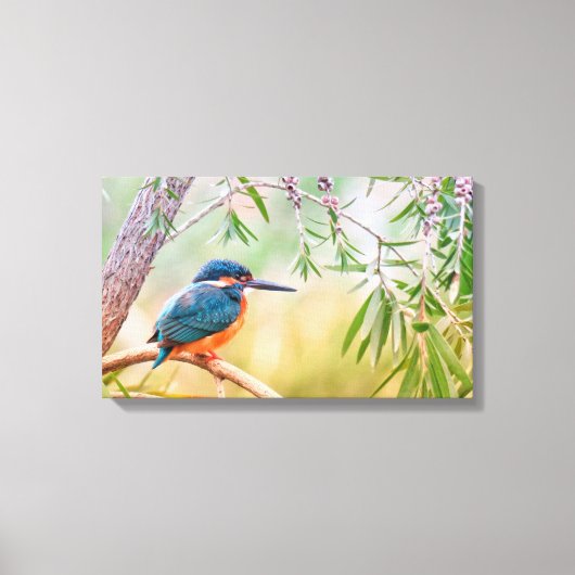 Kingfisher Perched op Branch Canvas Afdruk (Voorkant)