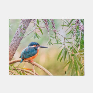 Kingfisher Perched op Branch Deurmat
