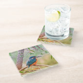 Kingfisher Perched op Branch Glazen Onderzetter (Schuin)