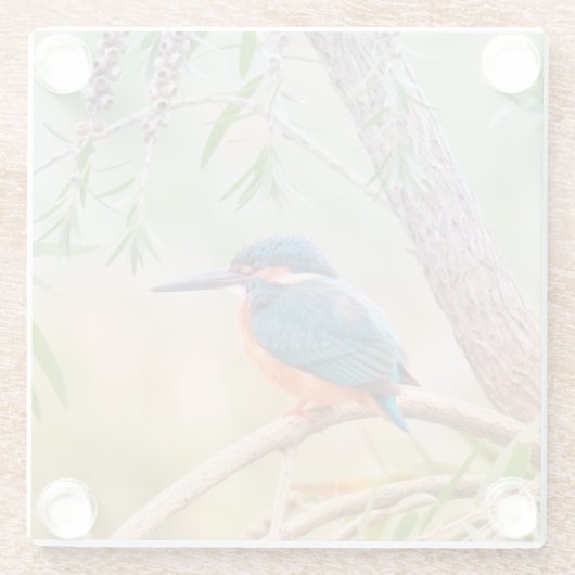 Kingfisher Perched op Branch Glazen Onderzetter (Achterkant)