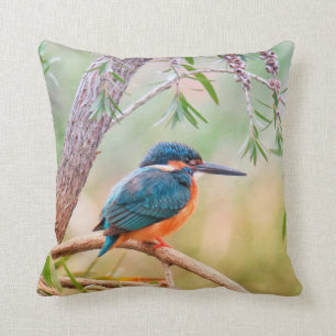 Kingfisher Perched op Branch Kussen