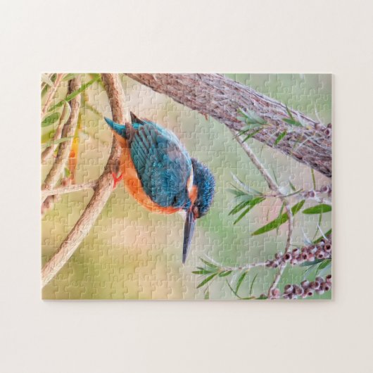 Kingfisher Perched op Branch Legpuzzel (Horizontaal)