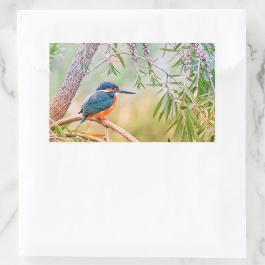 Kingfisher Perched op Branch Rechthoekige Sticker (Tas)