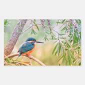 Kingfisher Perched op Branch Rechthoekige Sticker (Voorkant)