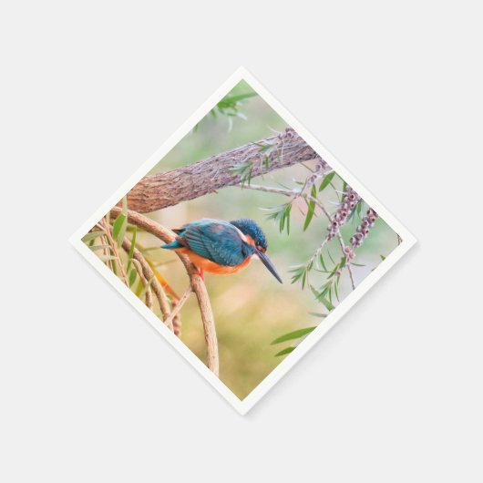 Kingfisher Perched op Branch Servetten (Hoek)