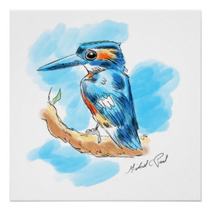 Kingfisher Perfect Poster