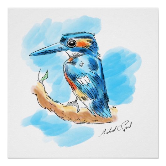Kingfisher Perfect Poster (Voorkant)