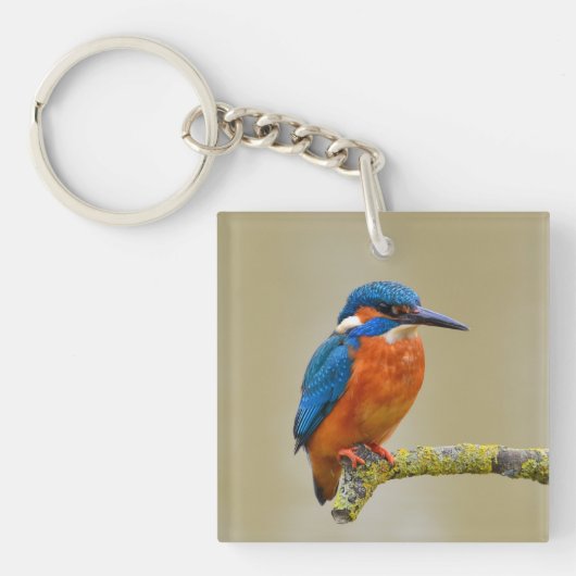 Kingfisher Portrait Photograph Sleutelhanger (Voorkant)