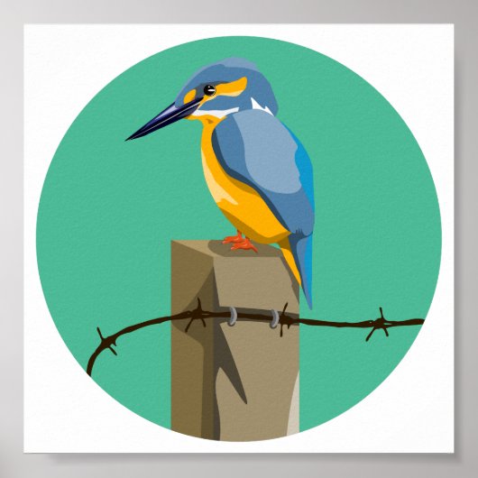 Kingfisher Poster (Voorkant)