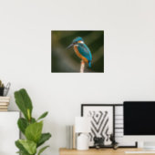 KIngfisher Poster (Home Office)