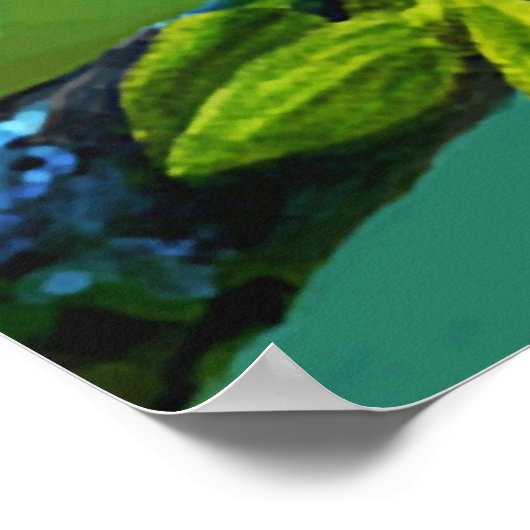 Kingfisher Poster (Hoek)