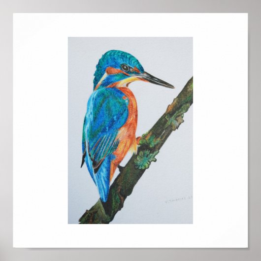 Kingfisher Print - kies uw papier en lijst! (Voorkant)