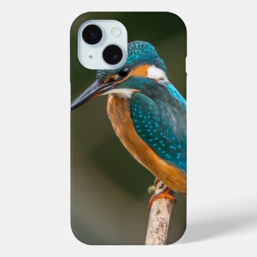 Kingfisher Profielfoto Case-Mate iPhone Case (Achterkant)