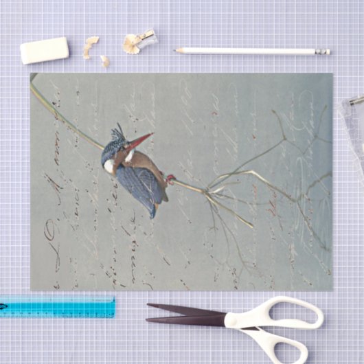 Kingfisher Reflection French Script  Bird Tissuepapier (Craft)