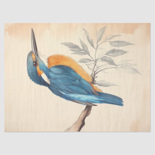 Kingfisher River Wildlife  Decoupage Print Tissuepapier (Voorkant)