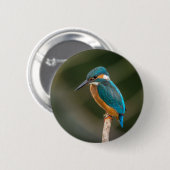 Kingfisher Ronde Button 5,7 Cm (Voorkant /achterkant)