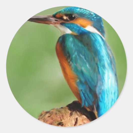 Kingfisher Ronde Sticker (Voorkant)