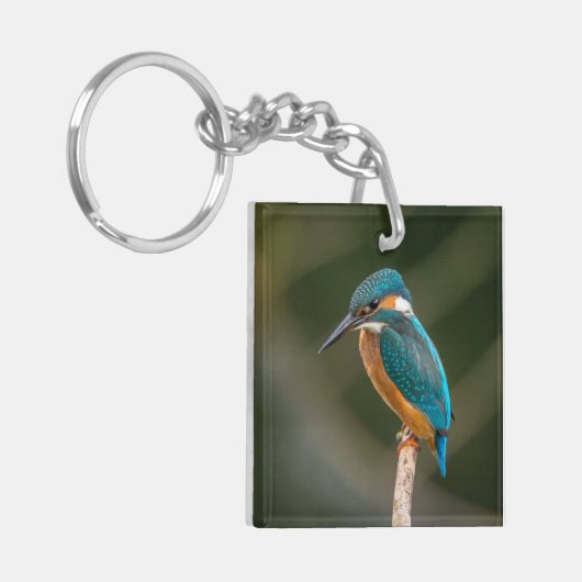 KIngfisher Sleutelhanger (Voorkant Links)