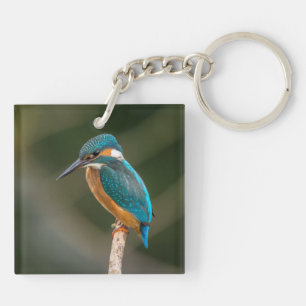 KIngfisher Sleutelhanger