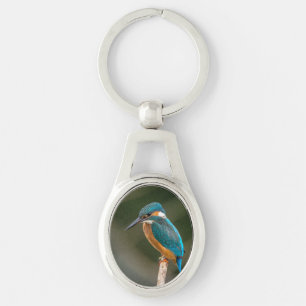 KIngfisher Sleutelhanger