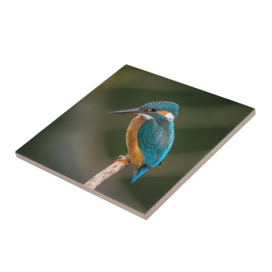 Kingfisher Tegeltje (Zijkant)