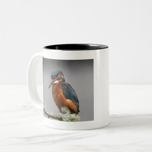 Kingfisher Tweekleurige Koffiemok (Voorkant links)