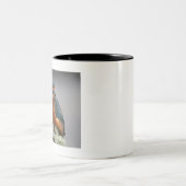 Kingfisher Tweekleurige Koffiemok (Center)