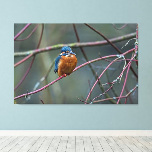 Kingfisher v2 canvas afdruk (Insitu (Houten vloer))