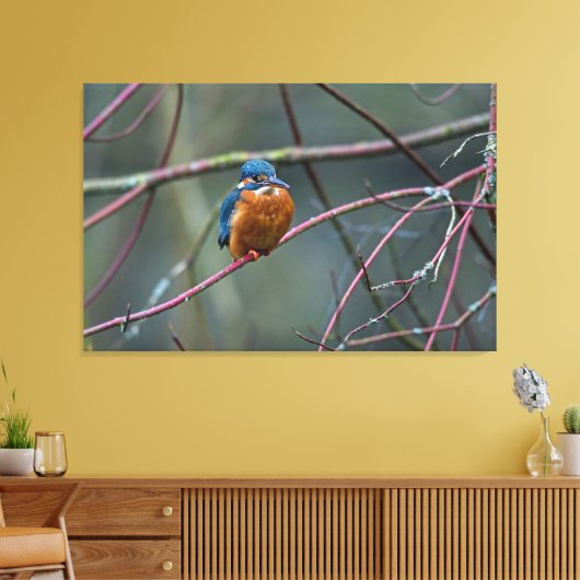 Kingfisher v2 canvas afdruk (Insitu (Woonkamer))