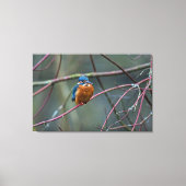 Kingfisher v2 canvas afdruk (Voorkant)