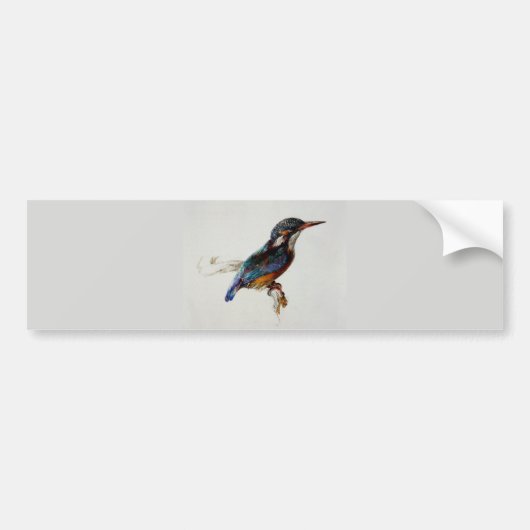 Kingfisher (van John Ruskin) Bumpersticker (Voorkant)