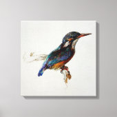 Kingfisher (van John Ruskin) Canvas Afdruk (Voorkant)